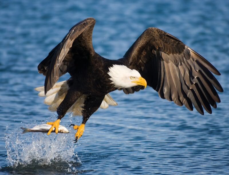 Which one will you be today?