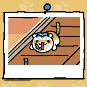 ShuanL's tweet photo. #ねこあつめ https://t.co/iuU7xJO2PK