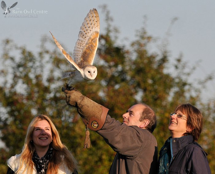 BarnOwlCentre's tweet photo. Such an amazing feeling to have good weather 👌😍👌 Our amazing bird team are back in action on the farm flying &amp; training our birds! Happy Team = Happy Birds = Happy Visitors that book into Flying Experiences &amp; Photography Days
Link here to find out more😍https://t.co/S3zJjBKHKS https://t.co/IsxfDBdxxW