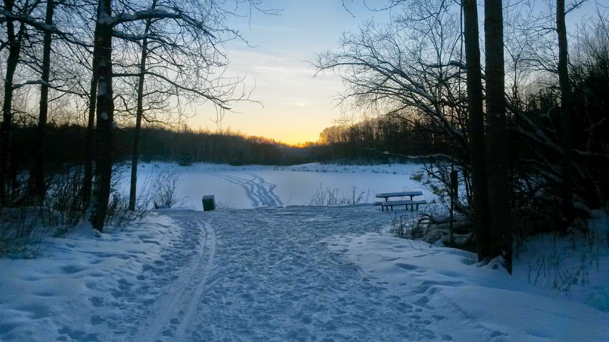 Blitz Conditioning tweet media