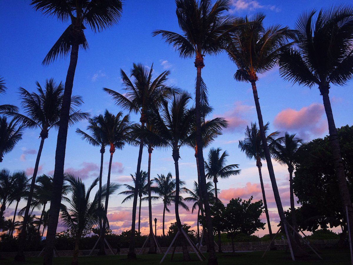 ManuelJPLago's tweet photo. Oh Summer, I miss you so much ๐ #sunsetsofflorida https://t.co/CVDh4jEX84