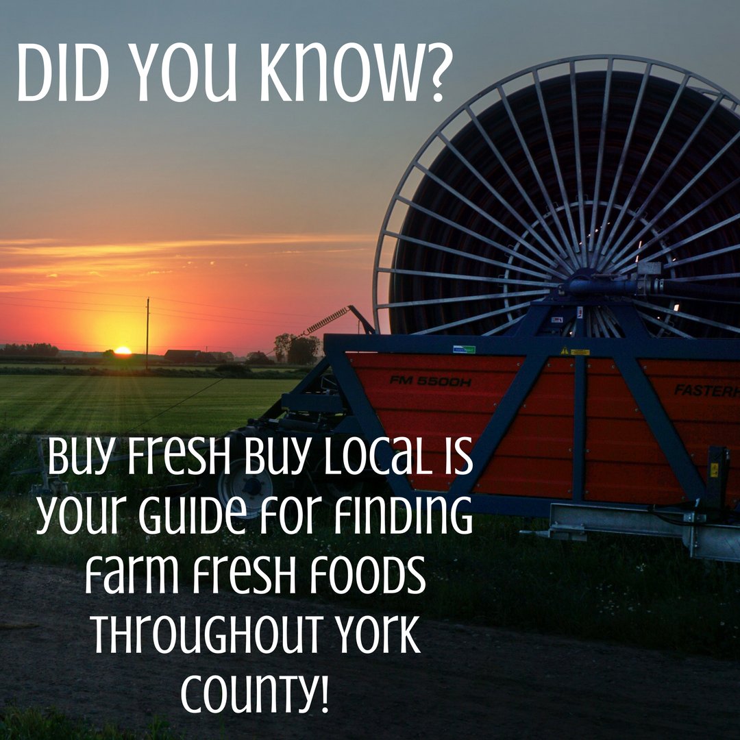 YorkUnleashed's tweet photo. Did You Know #YoCo is home to a bounty of local farmers and food suppliers? Get connected to them at @YorkBFBL and love the York life. https://t.co/YeGuu9RWk1 https://t.co/Fgl0qAjXRM