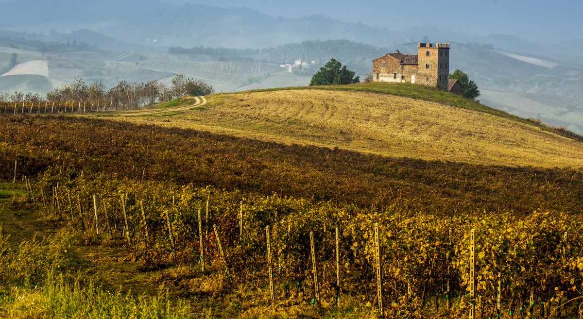 inLOMBARDIA's tweet photo. Drink a glass of wine to discover the different wine variety grapes and enjoy the wonderful views #SaporeinLombardia https://t.co/MeicXP1qSr https://t.co/7XSHDAqTFy
