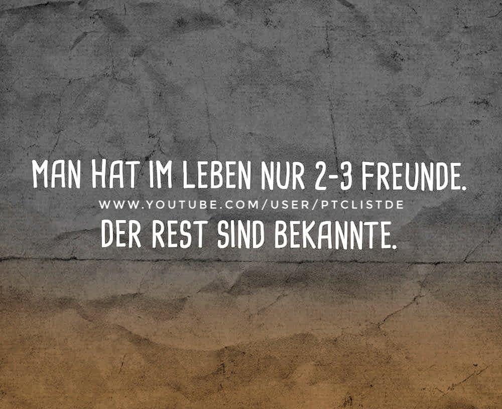 Lustigehunde Hashtag On Twitter