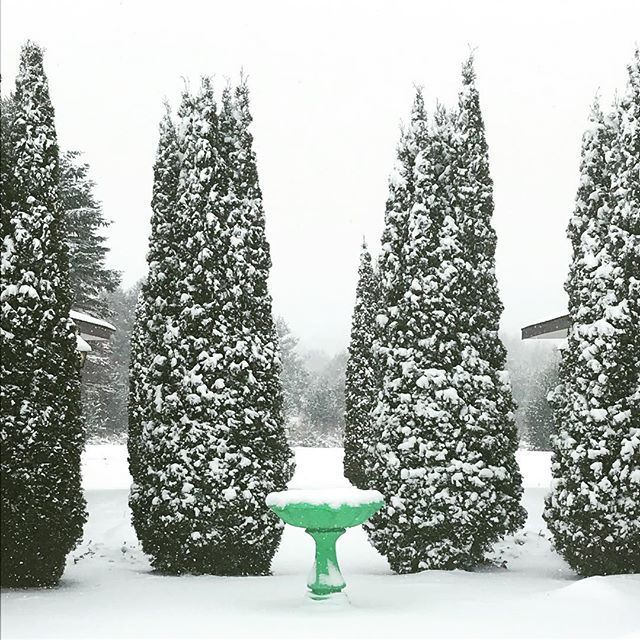 MotelPossible's tweet image. And this is why we call it PRE spring cleaning. #inlikealion ift.tt/2H9Q3dg