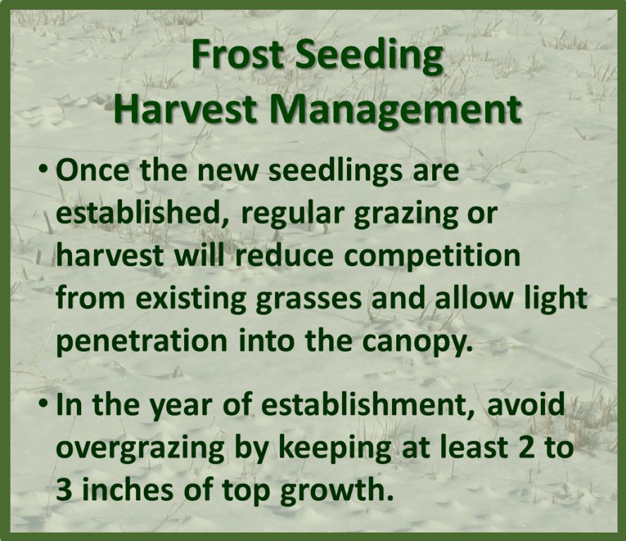 Looking to improve older pastures/meadows? Ideal conditions for frost seeding: minimal snow cover/frosty nights.