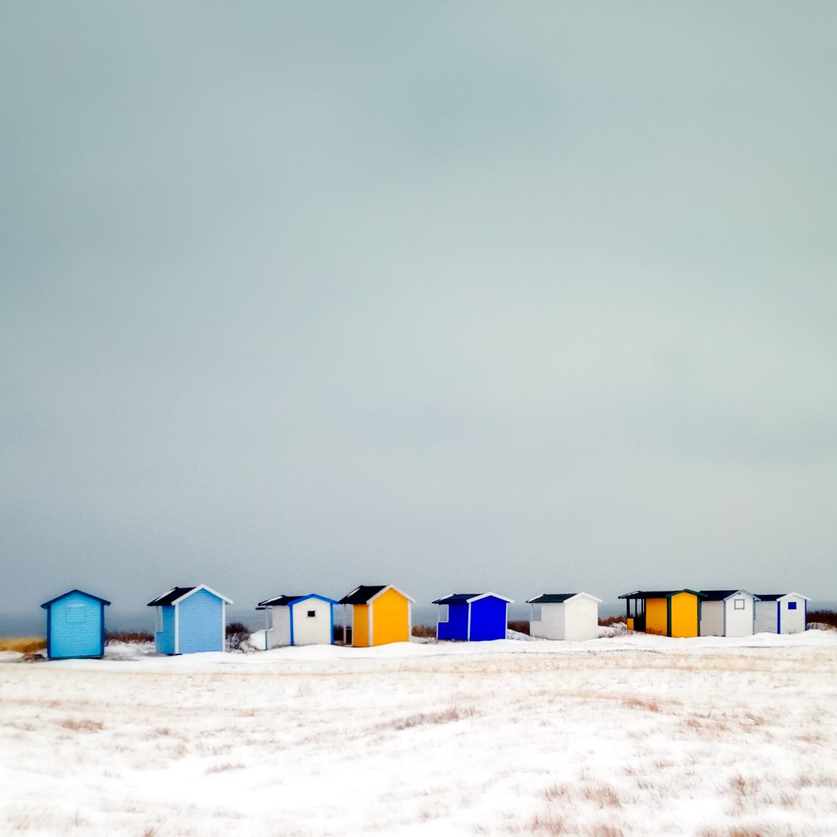 davidreport's tweet image. Colorful beachhuts in Skanör. #Landscapes #landscapephotography