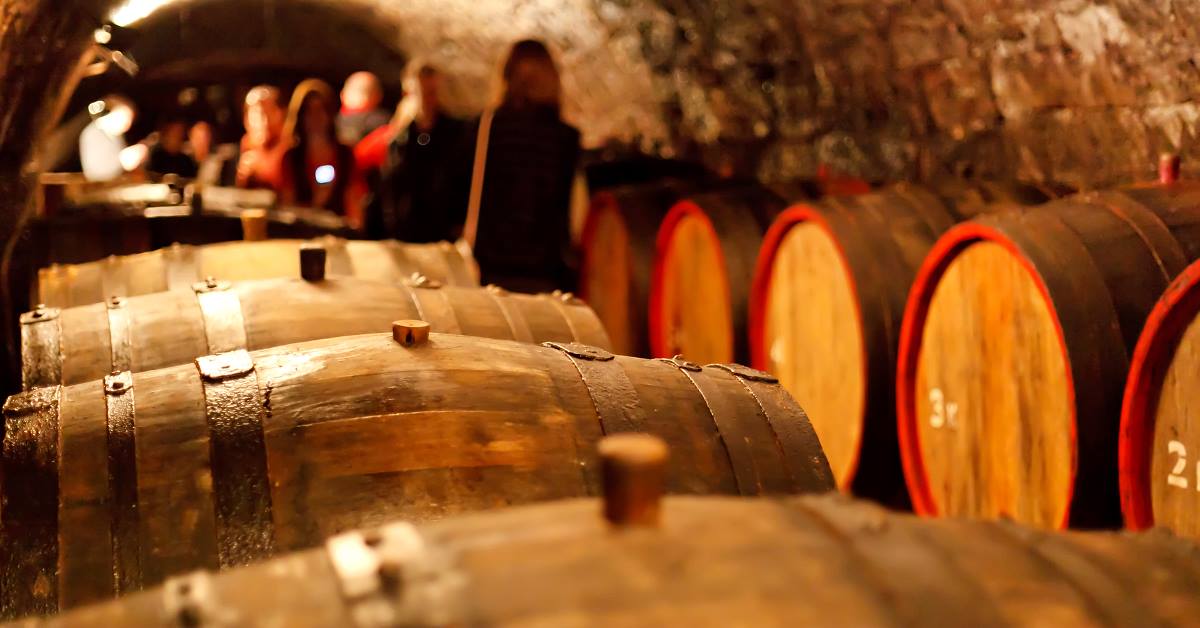 TasteOfCzech's tweet photo. Why not visit Valtice, a charming South Moravian town with a Chateau Complex, on the day of 'Open Wine Cellars' with an opportunity to taste many different wines? The event is held 31st March &amp; is a perfect way to spend this year's Easter Weekend 🥂
#winelover #winetasting #wines https://t.co/WeweRuYkLM