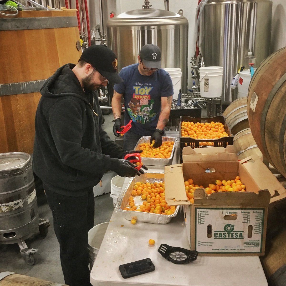 Prepping these little kumquats for their voyage earthbound. See you in a couple months!
#BeachwoodBlendery #ArtfulBìeres #fruiting #kumquats