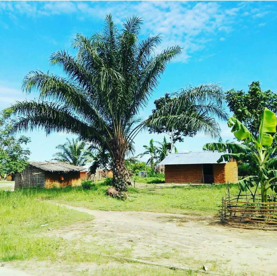 mpassidorian's tweet photo. ICI C'EST EWO
La beauté du Congo profond
#Département de la #CuvetteOuest https://t.co/NexYoAKjjE