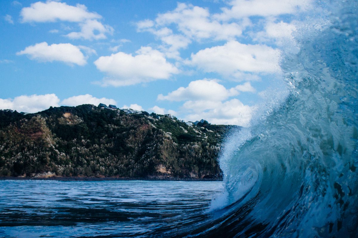 Kaplan_VE's tweet photo. My family _____ to travel to New Zealand this year. 
a. want 
b. wants https://t.co/XXP8JuoM2D