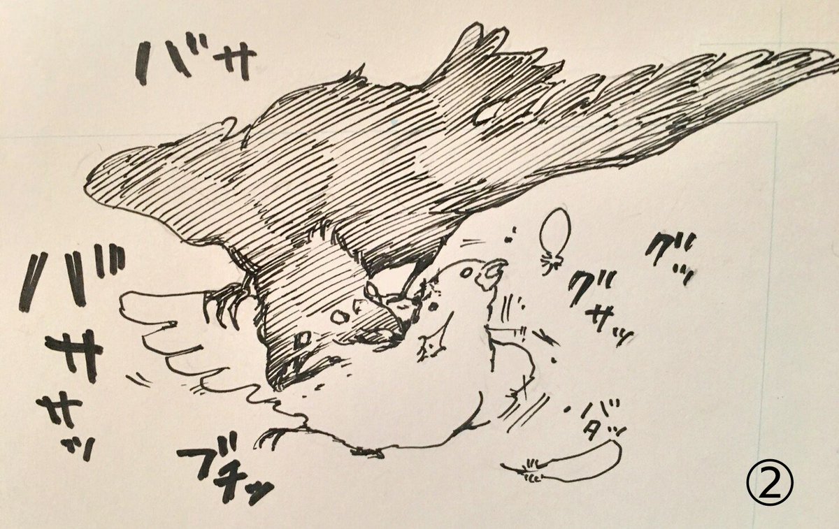 烏に本気で引きました。鳩がかわいそうすぎる、、、😨
#日常4コマ 