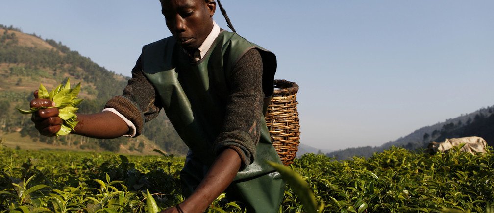 afriexpl's tweet image. Explore Africa’s BIGGEST opportunities in Agriculture. INVEST TODAY!
For Enquiries/Contact: 
You could leave a message here OR SEND US A MAIL ON; exploreafricainvestments@gmail.com
OR CALL US ON: +234-814-962-3647