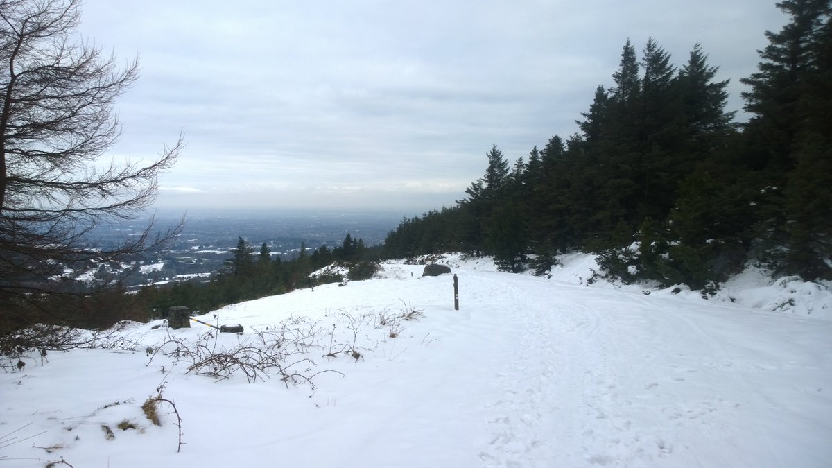 donalclimber's tweet photo. Pre work ski tour 😁 https://t.co/nwwGahYP97