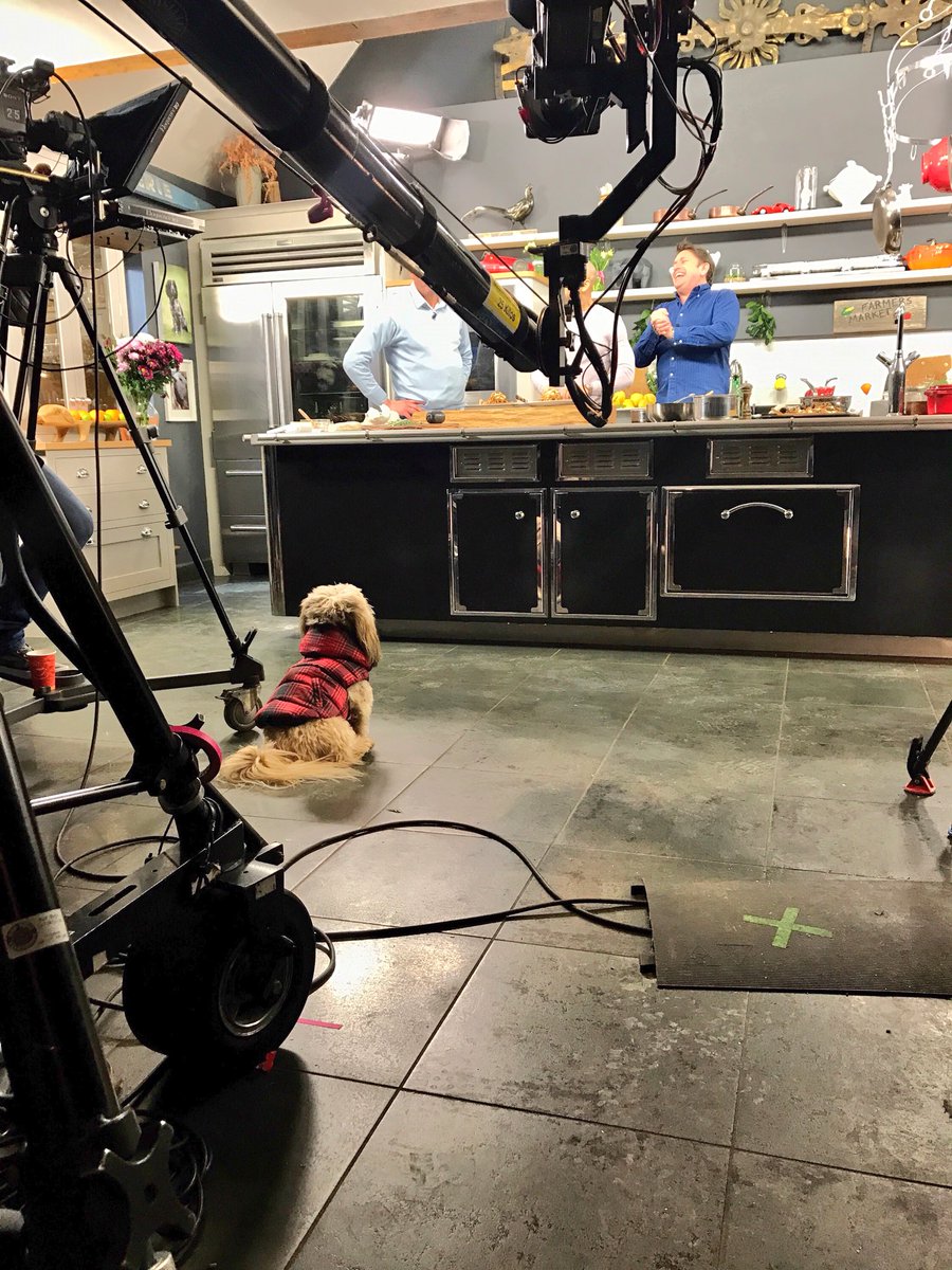 jamesmartinchef's tweet photo. Ralph waiting for food to drop! https://t.co/ssEn4vdCfQ
