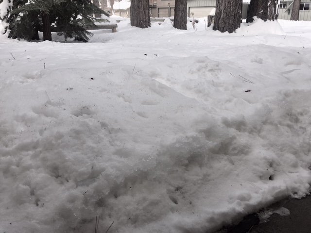 ChannelVets's tweet image. 3+ft of snow outside my office right now. Who else is leaving cold weather or snow behind for #EC18 in Orlando next week? Lets meet: linkedin.com/in/garywoodsjr!  #channelpartners #cloud #voice #data