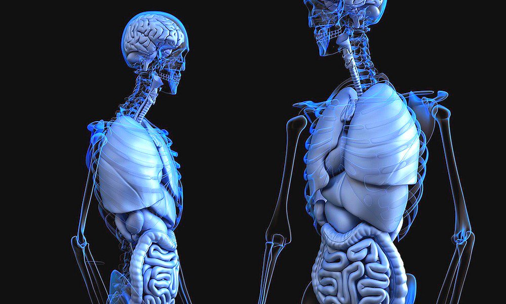 How #AI Could Change The Medical Field

buff.ly/2w99zEb   <a href="/Datafloq/">Datafloq</a>
#HealthTech #BigData #ML #DL
Cc <a href="/YarmolukDan/">Dan Yarmoluk</a> <a href="/SachinLulla/">Sachin Lulla</a> <a href="/Fisher85M/">Michael Fisher</a>