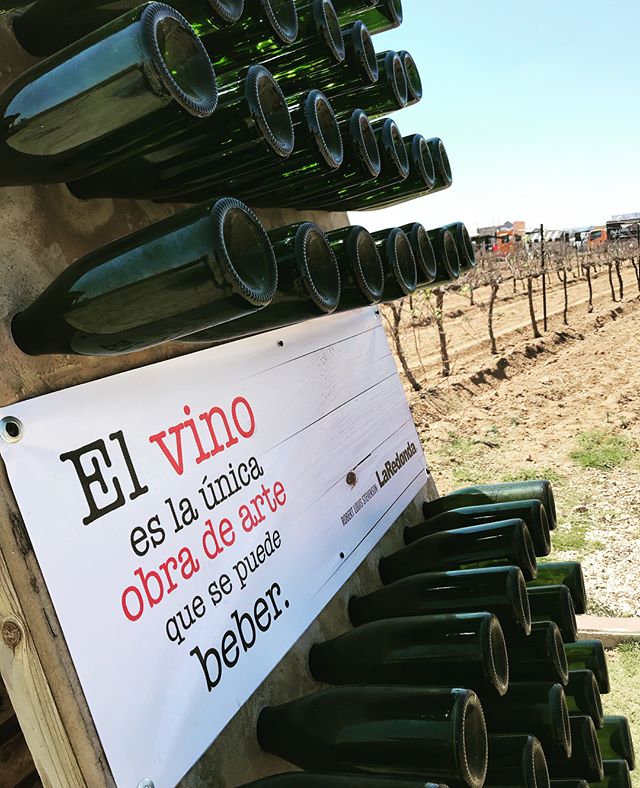 100VinosMex's tweet image. El vino es la única obra de arte que se puede beber. #vinotime #1000VinosMexicanos