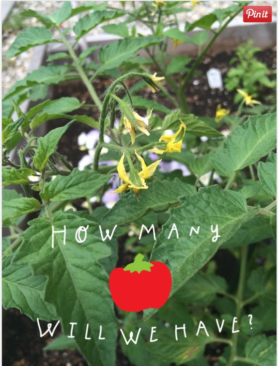 PBSKIDS's tweet photo. Have a garden or houseplants? Here's how you can use them to grow math skills! https://t.co/sNnv55fsTM https://t.co/ap08a0VCqy