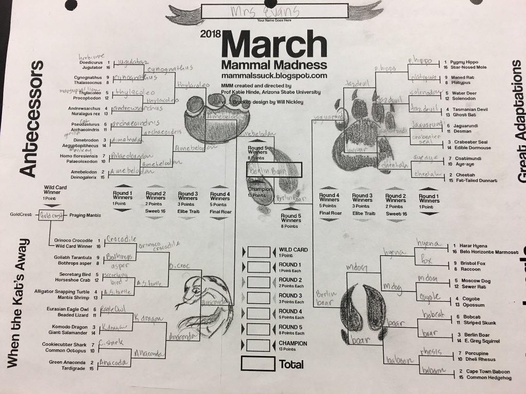 JEvans4Science's tweet photo. My #2018MMM bracket is ready @CapeFearHigh1 https://t.co/g1flpvNmGW