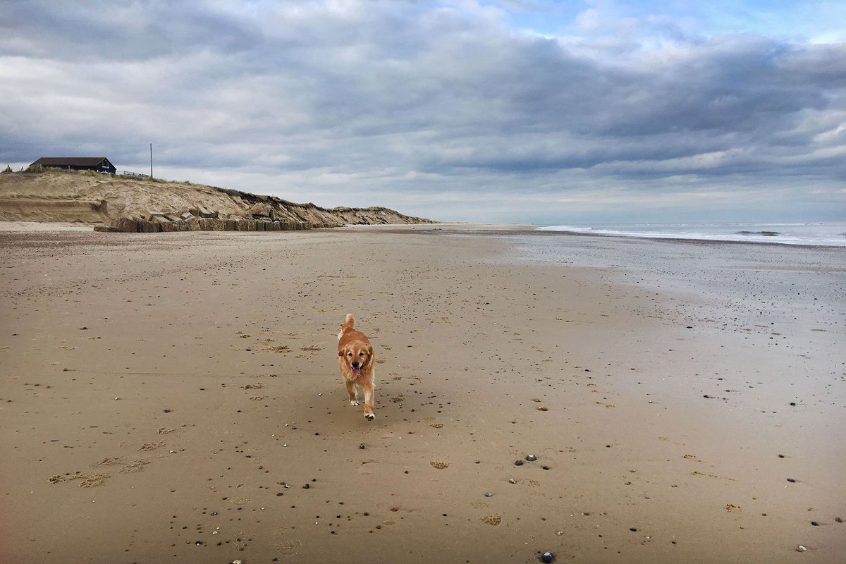 Winterton0nSea's tweet photo. CONTRARY to media reports, Winterton beach has not been washed away. See our new blog, where you can now comment. https://t.co/guq4lI8vWB https://t.co/Wfh0oPgcWY