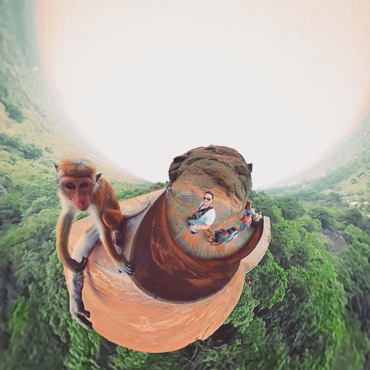 gaba_vr's tweet photo. Monkey Business 🐵🐒 
#monkey #macaco #high #mountains #mountain #animal #drone #drones #wildlife #srilanka #sigiriya #sigiriyarock #360camera #360cameras #360photo #360photography #lifein360 #littleplanet #littleplanets #tinyplanet #tinyplanets #travel https://t.co/hWU60PXkcP