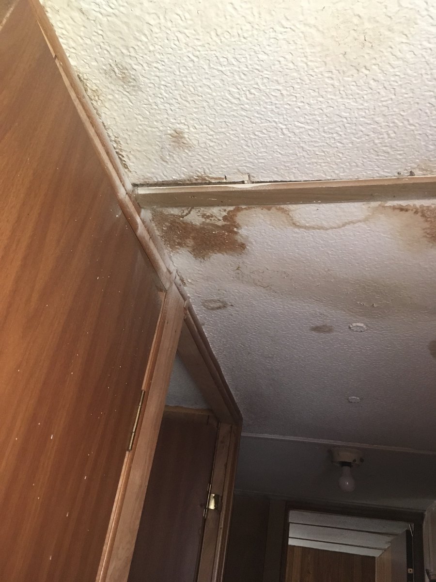 LuvinThaDonald's tweet photo. Tenant moved out. In the 4 yrs he lived here he never once said anything about the celing leaking. The landlord I hired, who is supposed to do monthly inspections isn’t doing his job &amp; now I’m gonna be out a ton of money. I’m pissed https://t.co/dbhxSLtVEH