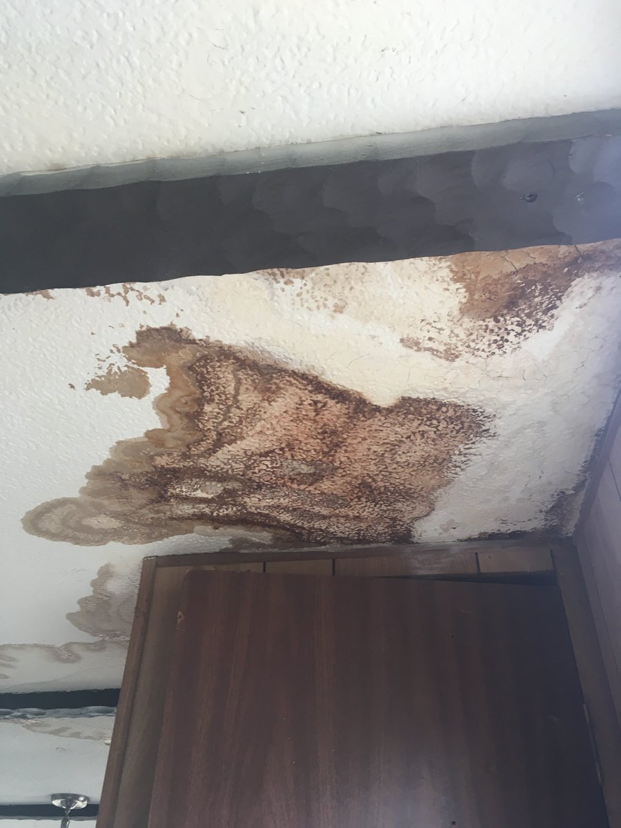 LuvinThaDonald's tweet photo. Tenant moved out. In the 4 yrs he lived here he never once said anything about the celing leaking. The landlord I hired, who is supposed to do monthly inspections isn’t doing his job &amp; now I’m gonna be out a ton of money. I’m pissed https://t.co/dbhxSLtVEH