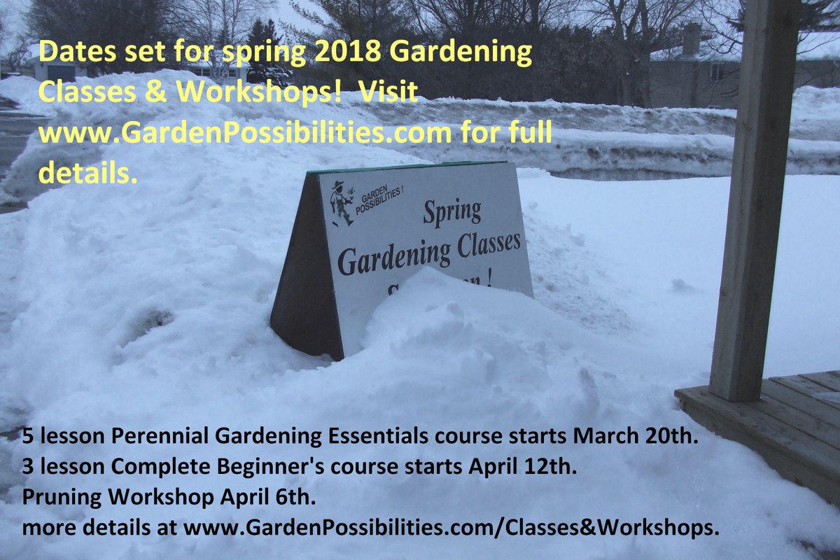 GardenPoss's tweet image. DATES SET FOR SPRING GARDENING LESSONS! 
5 lesson course on #PerennialGardening starts Mar20
3 lesson course for #BeginnerGardeners starts Apr12
In-depth #ShrubPruning workshop.  
Limited to only 8 so register soon!  
gardenpossibilities.com for details.  See you there!  Evelyn