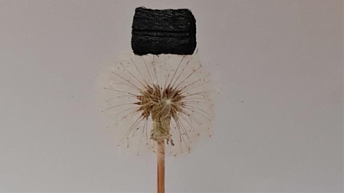 VogalPM's tweet photo. 'Hijacked' balsa wood could make light and tough mechanical sensors >> https://t.co/oVQZ5Clv8C << #engineers #innovation https://t.co/0rx3Gco6og