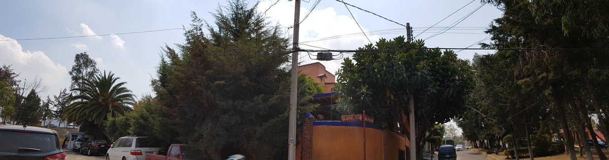 itzelaaaa's tweet photo. @CFE_ValleMex me apoya a cortar estas ramas, van de poste a poste suyo, cada vez que se mueven se va la luz https://t.co/towTJD4560