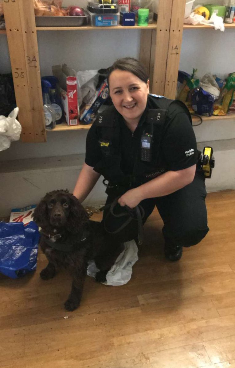 elingreen94's tweet photo. Great day at the office! Trading Standard warrants and film crew from S4C #IllegalTobacco #Cymraeg @BWYK9 @S4C @DPPNewtown https://t.co/49iUSTPE5K