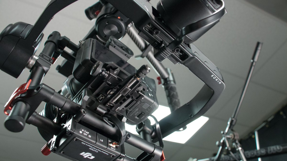 Motion Dogs tweet media