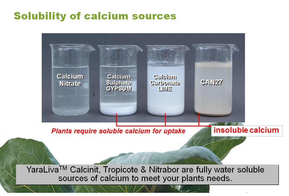 Tracy Beilby On Twitter Do You Know Your Calcium Sources It Takes Just 1 Litre Of Water To Dissolve 1kg Of Yara Calcium Nitrate Fully Water Soluble Calcium That Plants Need