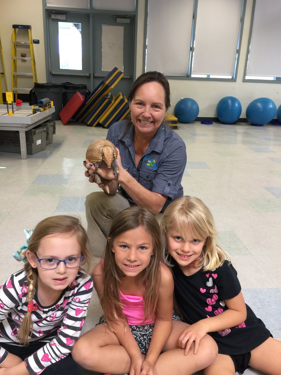 AHESPride's tweet image. The Santa Ana Zoo came for a visit!  #KinderRocks #LearningHandsOn #OurPanthersLoveLearning