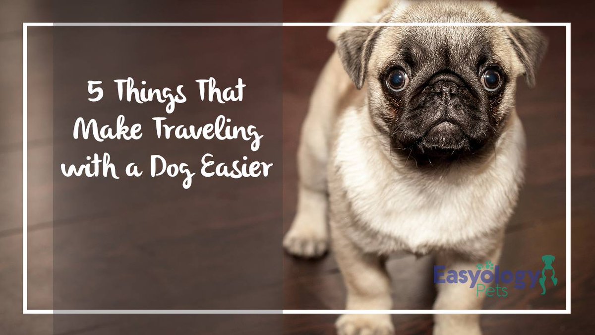 easyologypets's tweet photo. If you want to travel with your dog in tow, there are some things that you can do in advance to make the experience easier and more enjoyable. In fact, a little preparation helps your trip go smoother. https://t.co/RydjTXaAO8
#ShareYourKitty #Dogs #Pets https://t.co/P7W55GqB43