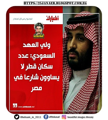 ولي العهد السعودي: عدد سكان قطر لا يساوون شارعا في مصر