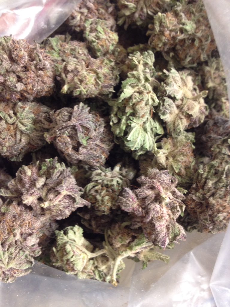 AdamsBergeron's tweet photo. Guess what I'm smoking? https://t.co/lxmlUOXtej