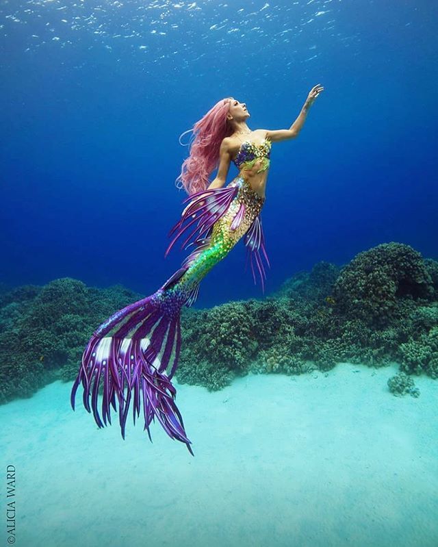 Majestic Mermaid Majestic Mermaid