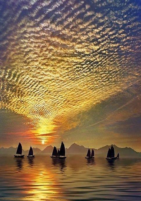 Culturafricana's tweet photo. Dentro  de veinte años estarás más decepcionado por las cosas que no hiciste  que por las que sí hiciste. Así que suelta las cuerdas de tus velas.  Navega lejos del puerto seguro. Atrapa los vientos favorables en tu  velamen. Explora. Sueña. Descubre.

 - Mark Twain - https://t.co/Bsk55z2aLV