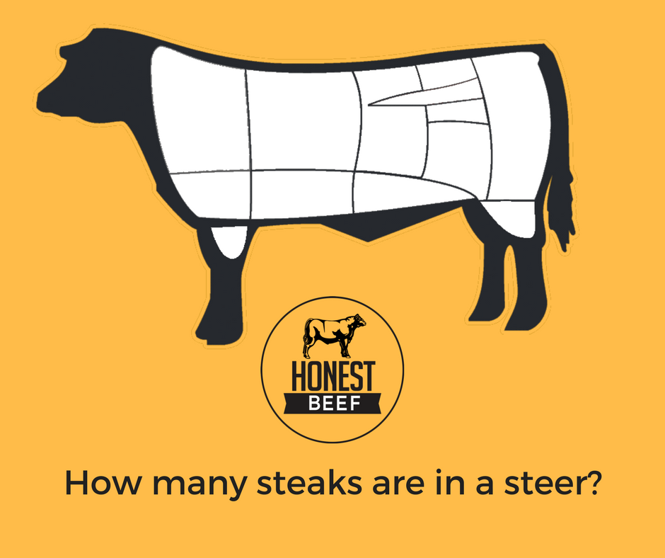 HonestBeef's tweet photo. Ever wonder how many steaks are in a steer? Burgers in a beef? Hangers in heifer? Bet you are now! https://t.co/zabkUIzfiR #honestbeef #beefcurious https://t.co/t62K5mFFyN