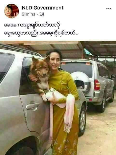Be kind to animals,
Don't to bedevil.
