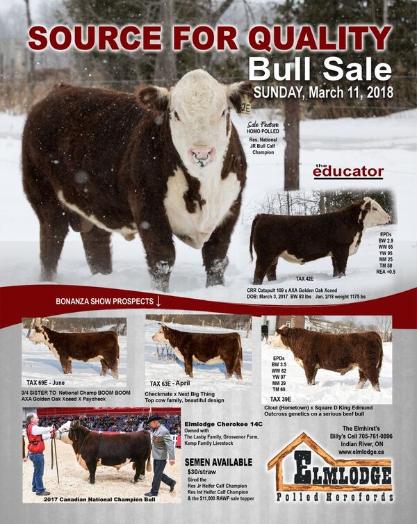 Where will you be this Sunday?  The Elm Lodge Bull sale is the place to be.  <a href="/irccsimmentals/">Juanita Elmhirst</a>