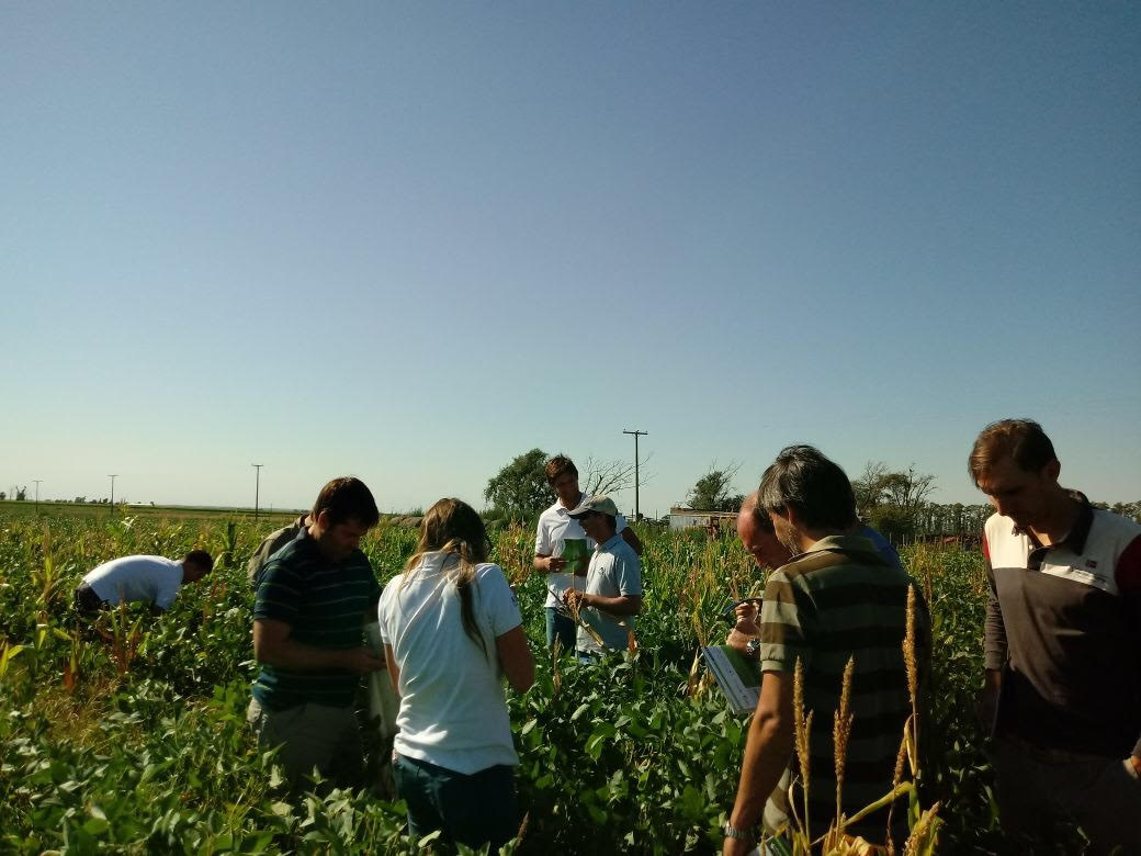 SummitAgroAr's tweet photo. Mejor que preocuparse es ocuparse. Por eso hoy recorrimos lotes de soja tratados con el Programa Cropshield en Rio Cuarto junto a la AIASC. #Starkle #Amicor #RaceRM https://t.co/PgK3S6Ceql