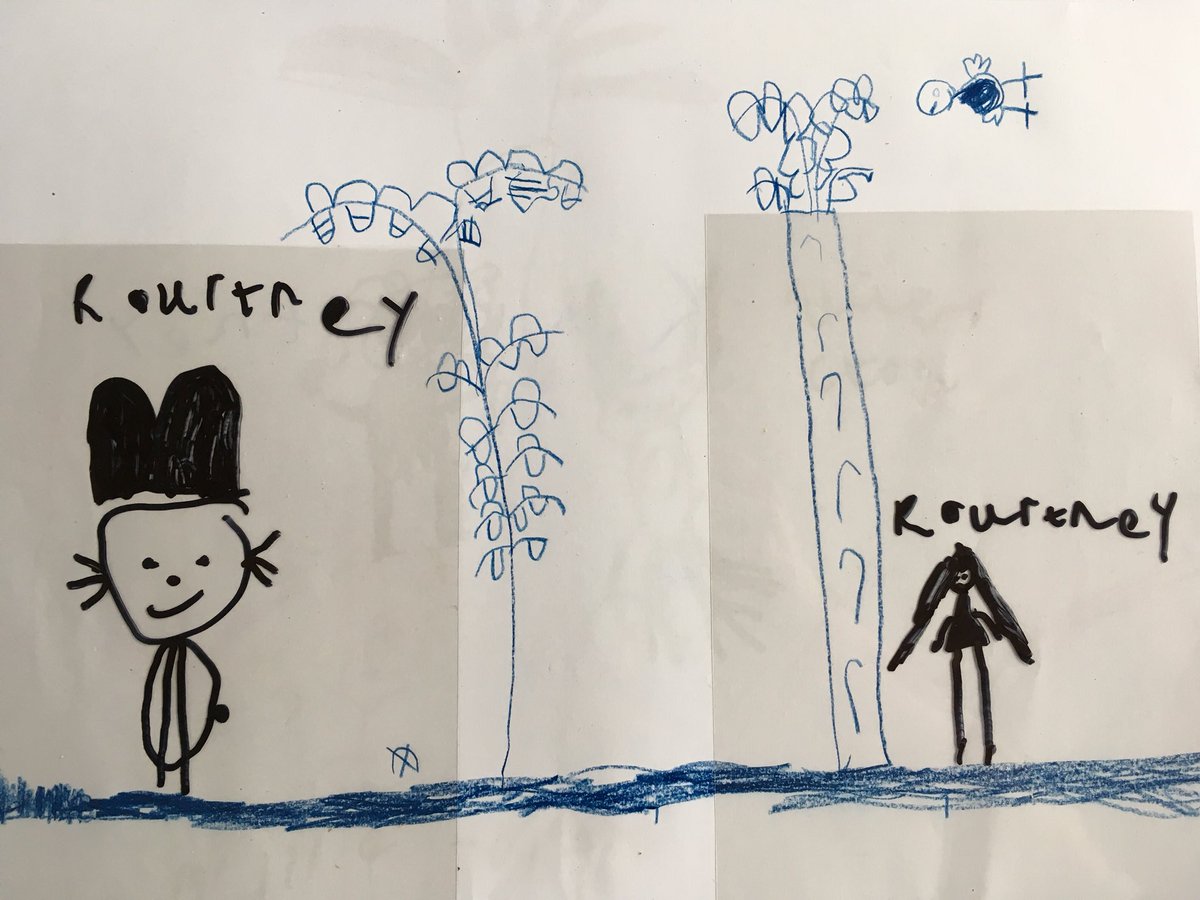Sainsbury Centre Learning tweet media