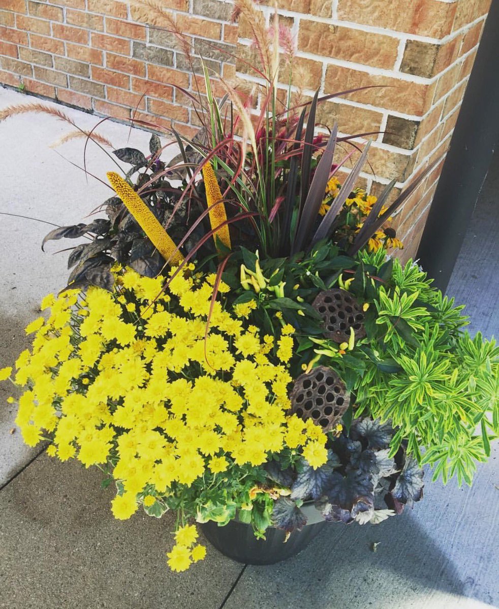 OsgoodeAPTS's tweet photo. We can't wait for spring π·βοΈππΈ
Here's one of favourite #Throwback photos from Riverton Parkπ
#Ottawa #Apartmenthunting #Apartmentlove #flowers #SpringintoOsgoode #Springcolours #transformationtuesday https://t.co/paHloSUrQu