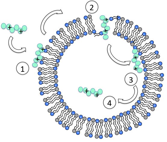 IBMResearch's tweet photo. A new molecule designed to kill deadly, drug-resistant superbugs https://t.co/ZANxnuciu8 #chemistry #ibmresearch #healthcare https://t.co/SpAxRCMGlX