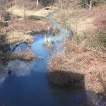 Photo by Paul Leppky (@pleppky)
