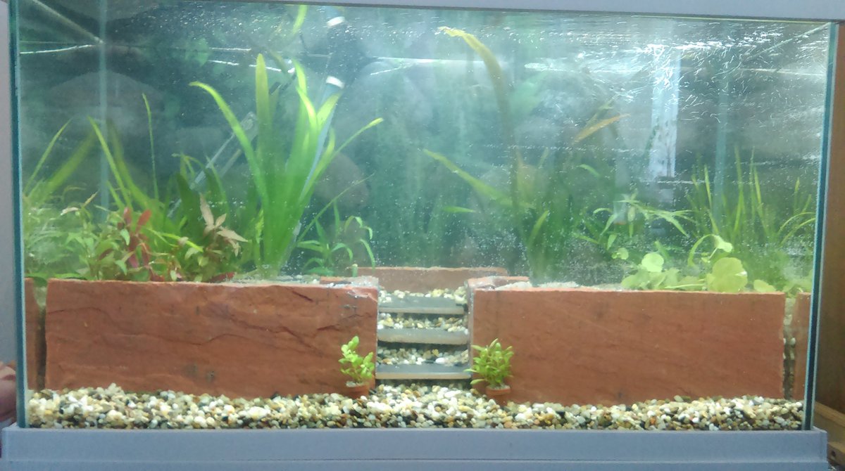 liampokemongo's tweet photo. Been to cold to go outside so been working on this :) #aquarium https://t.co/VlVxMUCuvP