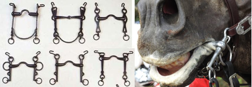 ProuTraccioSang's tweet photo. Que no t'ho adornin amb paraules tècniques i boniques, això és un element creat per SOTMETRE l'animal 

Que no te lo adornen con frases técnicas y bonitas, ésto es un elemento creado para SOMETER al animal #filete #bocado #TresTombs @gencat @AdaColau @cultpopular_cat https://t.co/JZbANmdzc8